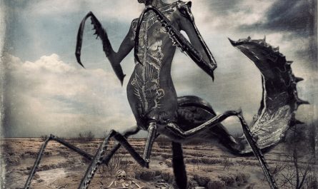 cecile-black-mantis