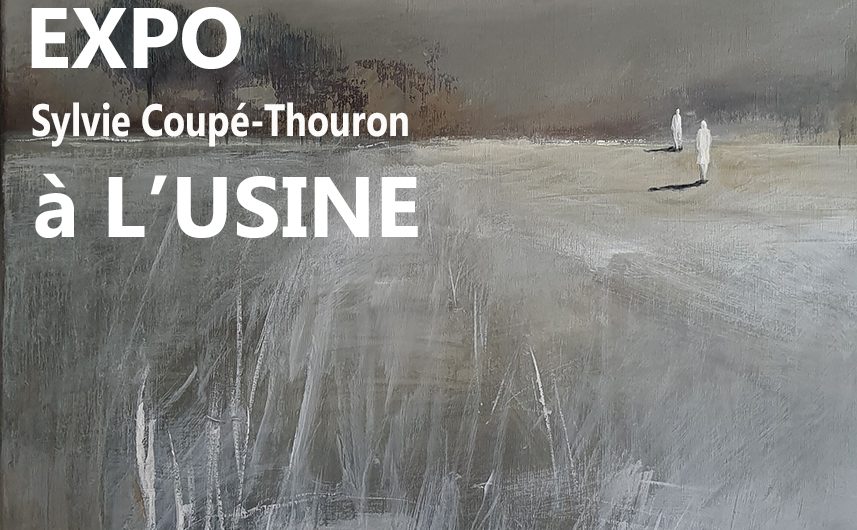 Sylvie Coupé-Thouron expose à l’Usine à Uxegney