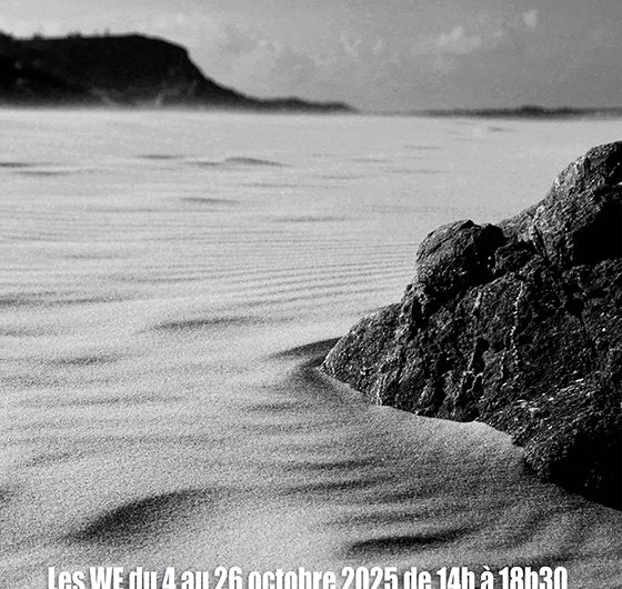 Justine Hardouin expose à l’Usine