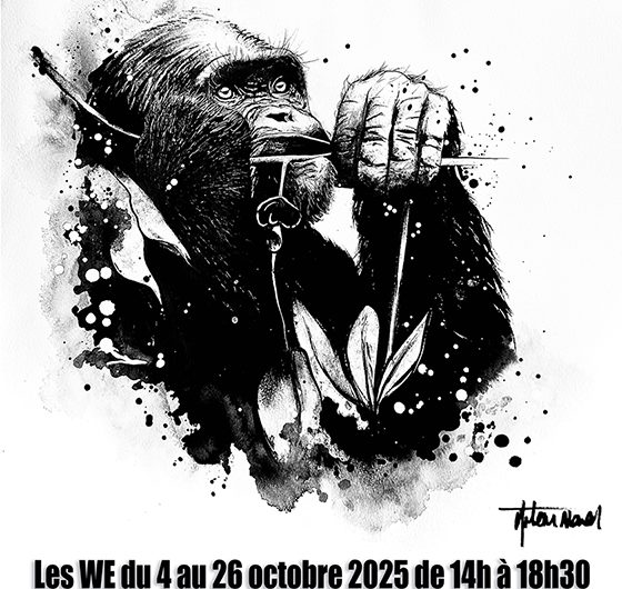 Manon Artem expose à l’Usine